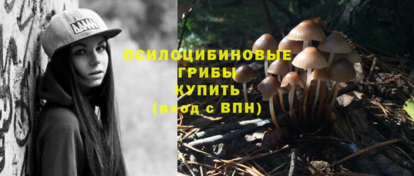 наркотики Алексин