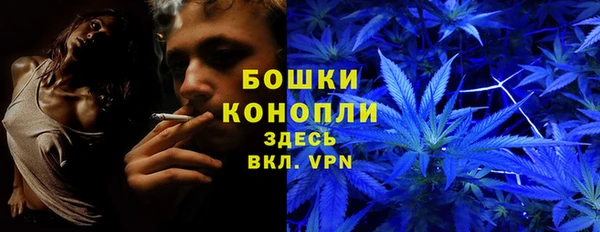 MESCALINE Алзамай