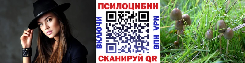 Галлюциногенные грибы MAGIC MUSHROOMS  Томари 
